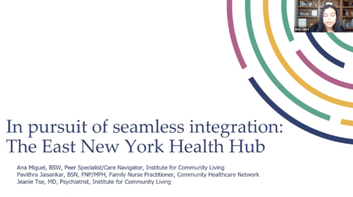 In Pursuit of Seamless Integration: The East New York Health Hub